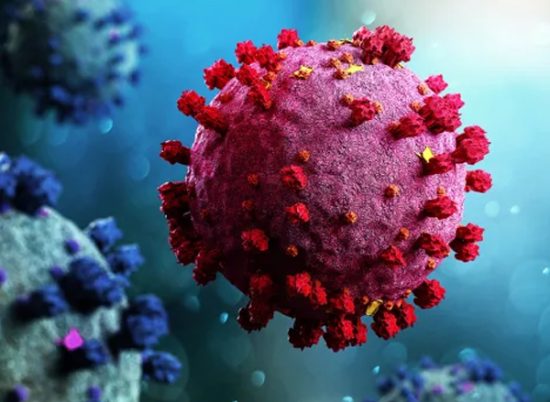 Infectious Diseases