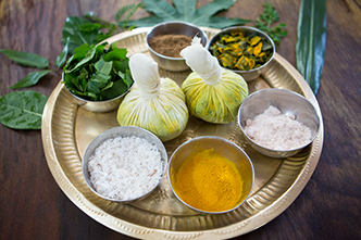 Pre-Detox Treatments