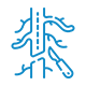 Endovascular procedures,