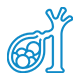 Gallbladder Disorders