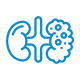 Kidney cancer
