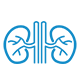 Pediatric Nephrology