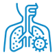 Pneumonia, Bronchitis