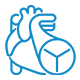 Valvular Heart Diseases